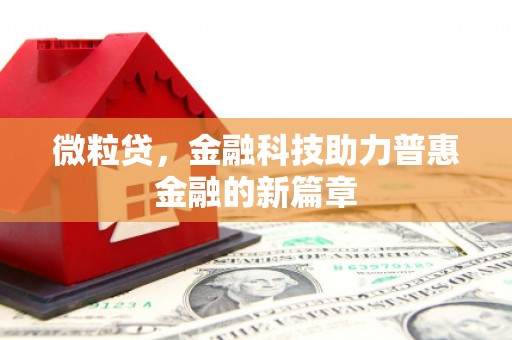 中区微粒贷，金融科技助力普惠金融的新篇章