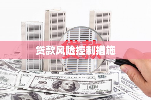 中区贷款风险控制措施