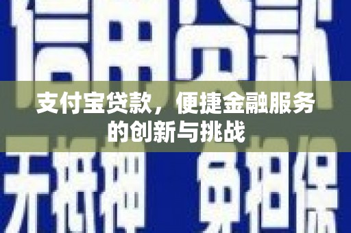 中区支付宝贷款，便捷金融服务的创新与挑战