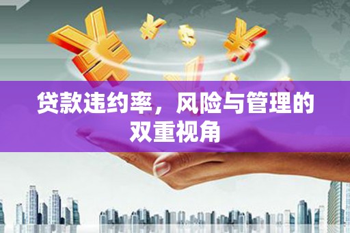 中区贷款违约率，风险与管理的双重视角