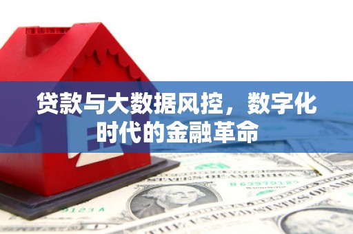 中区贷款与大数据风控，数字化时代的金融革命