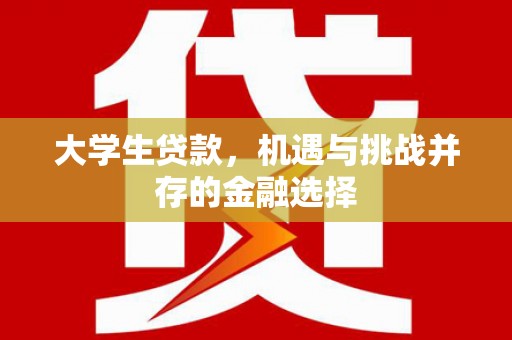 中区大学生贷款，机遇与挑战并存的金融选择