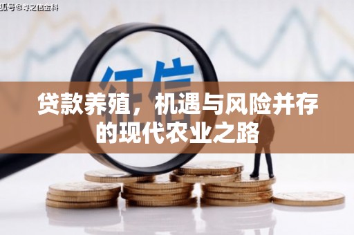 中区贷款养殖，机遇与风险并存的现代农业之路