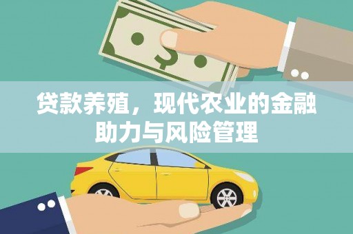 中区贷款养殖，现代农业的金融助力与风险管理
