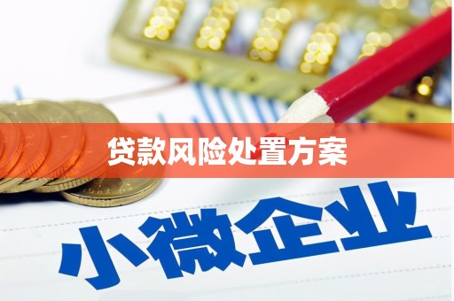 中区贷款风险处置方案