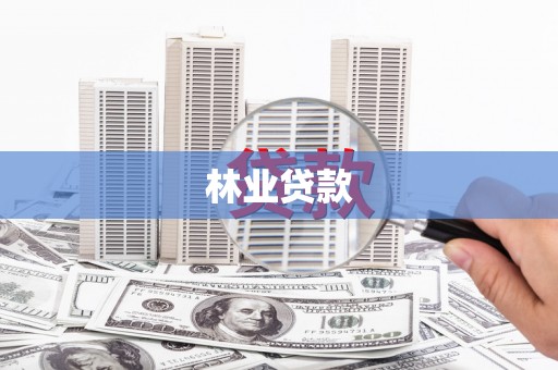 中区林业贷款