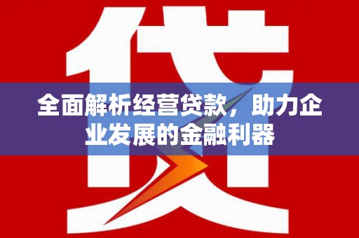 中区全面解析经营贷款，助力企业发展的金融利器