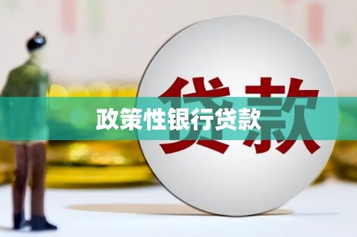 中区政策性银行贷款
