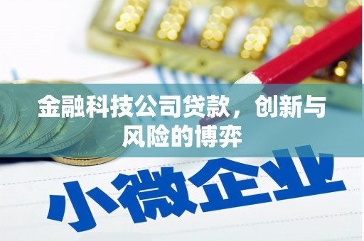 中区金融科技公司贷款，创新与风险的博弈