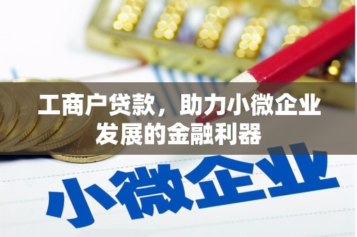 中区工商户贷款，助力小微企业发展的金融利器