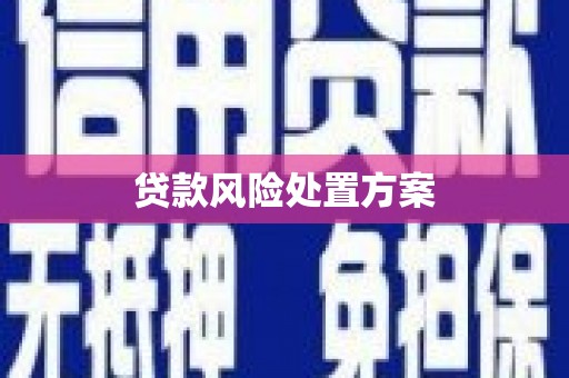 中区贷款风险处置方案