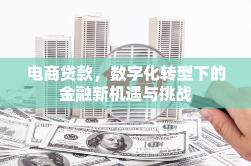 中区电商贷款，数字化转型下的金融新机遇与挑战