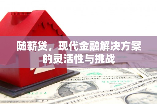中区随薪贷，现代金融解决方案的灵活性与挑战
