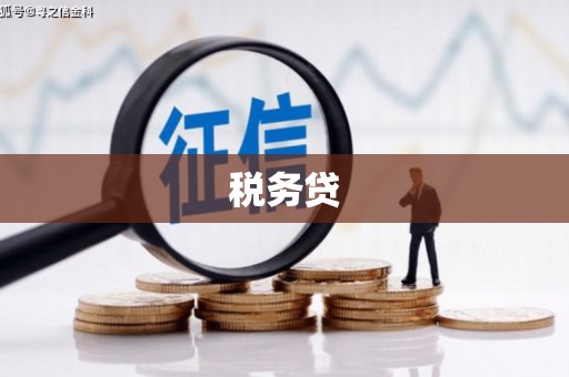 中区税务贷