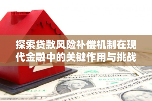 中区探索贷款风险补偿机制在现代金融中的关键作用与挑战