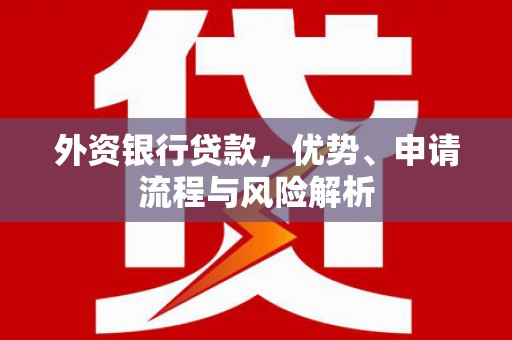 中区外资银行贷款，优势、申请流程与风险解析