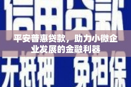 中区平安普惠贷款，助力小微企业发展的金融利器