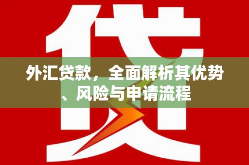 中区外汇贷款，全面解析其优势、风险与申请流程