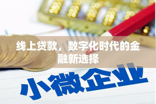 中区线上贷款，数字化时代的金融新选择