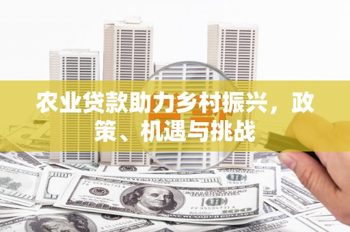 中区农业贷款助力乡村振兴，政策、机遇与挑战