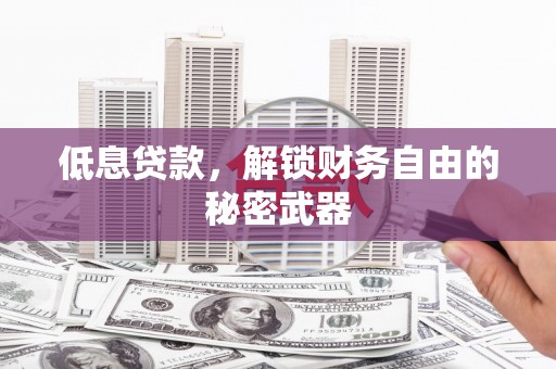 中区低息贷款，解锁财务自由的秘密武器