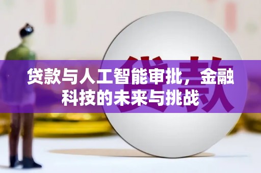 中区贷款与人工智能审批，金融科技的未来与挑战