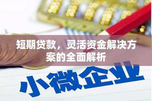 中区短期贷款，灵活资金解决方案的全面解析