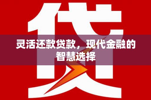 中区灵活还款贷款，现代金融的智慧选择