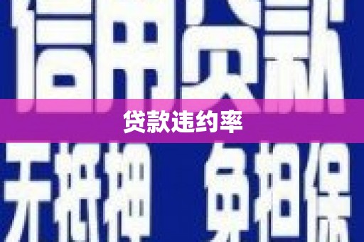中区贷款违约率