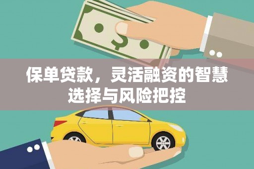 中区保单贷款，灵活融资的智慧选择与风险把控