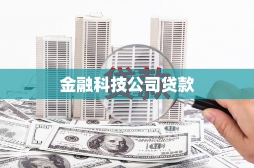 中区金融科技公司贷款