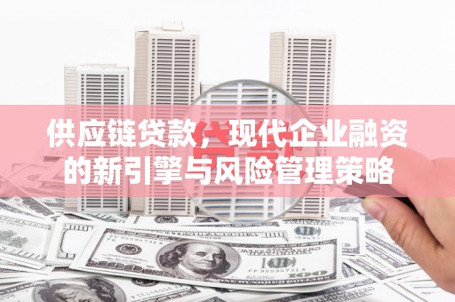中区供应链贷款，现代企业融资的新引擎与风险管理策略