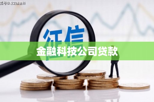 中区金融科技公司贷款