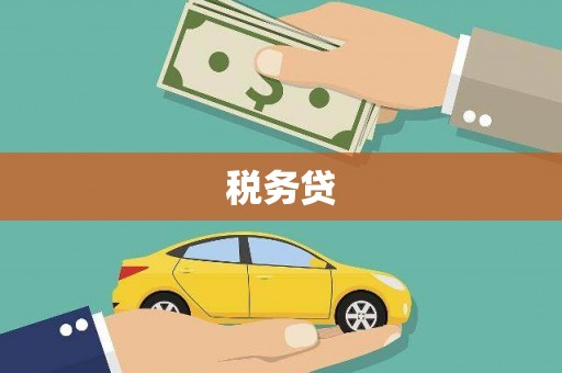中区税务贷