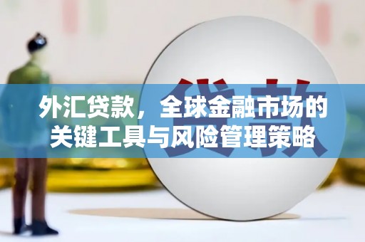 中区外汇贷款，全球金融市场的关键工具与风险管理策略
