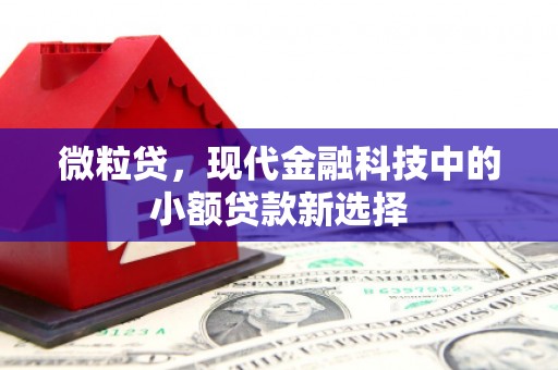 中区微粒贷，现代金融科技中的小额贷款新选择