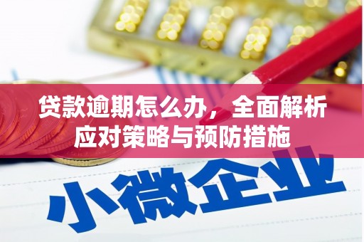 中区贷款逾期怎么办，全面解析应对策略与预防措施