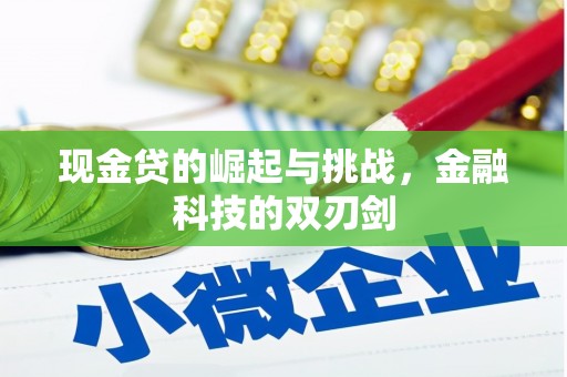 中区现金贷的崛起与挑战，金融科技的双刃剑