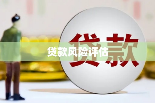 中区贷款风险评估