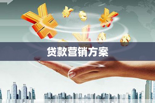 中区贷款营销方案
