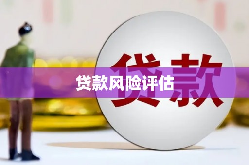 中区贷款风险评估