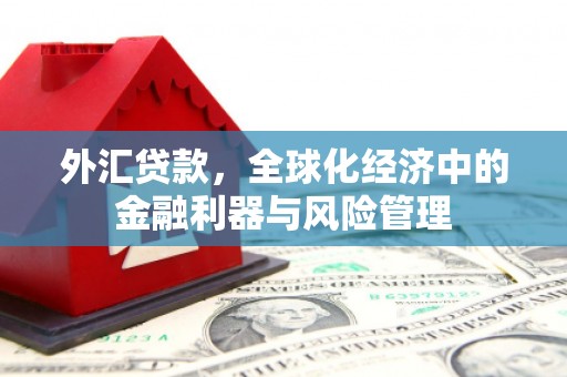 中区外汇贷款，全球化经济中的金融利器与风险管理