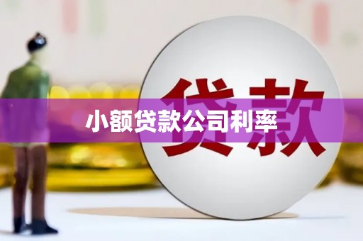 中区小额贷款公司利率