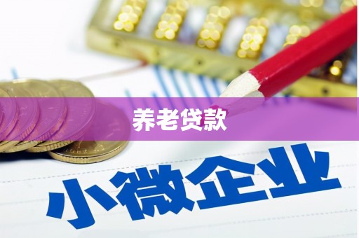 中区养老贷款