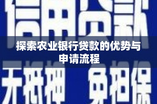 中区探索农业银行贷款的优势与申请流程