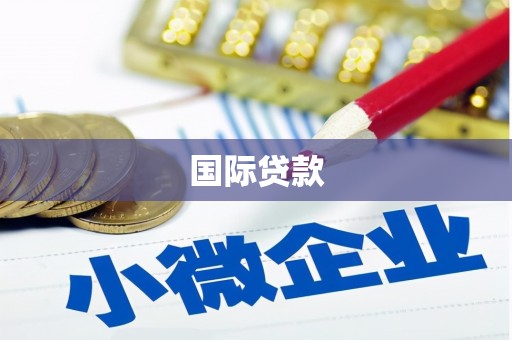 中区国际贷款