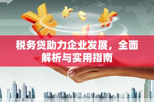 中区税务贷助力企业发展，全面解析与实用指南