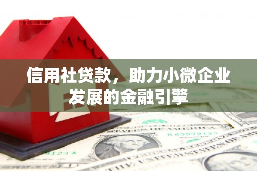 中区信用社贷款，助力小微企业发展的金融引擎