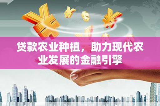 中区贷款农业种植，助力现代农业发展的金融引擎