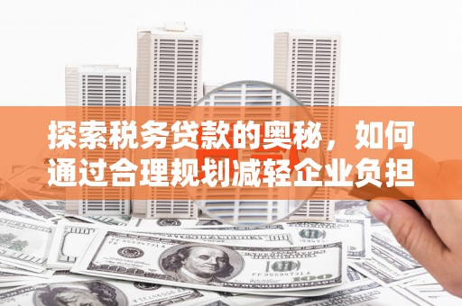 中区探索税务贷款的奥秘，如何通过合理规划减轻企业负担